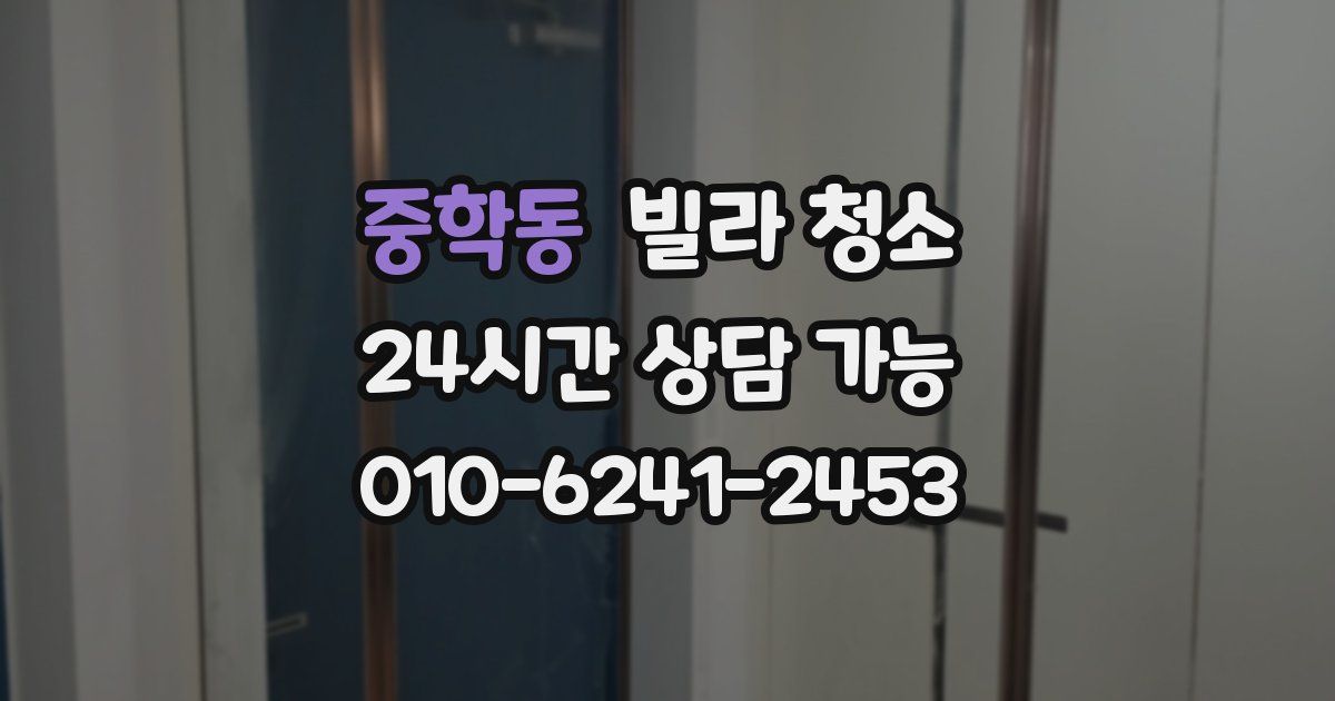 중학동 빌라 청소