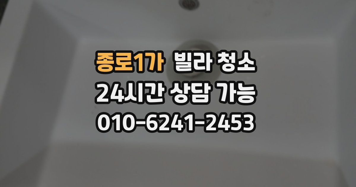 종로1가 빌라 청소