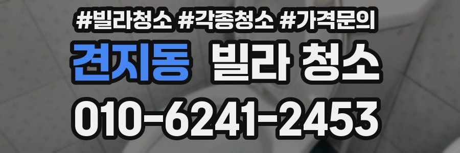 견지동 빌라 청소