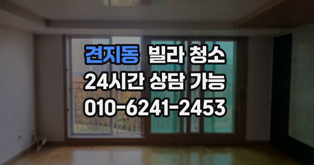 견지동 빌라 청소