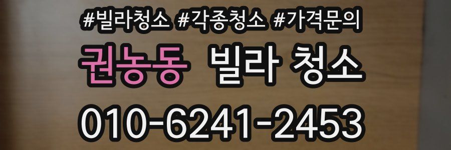 권농동 빌라 청소