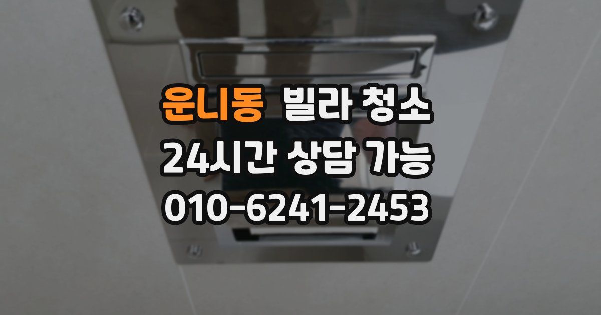 운니동 빌라 청소