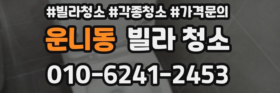 운니동 빌라 청소