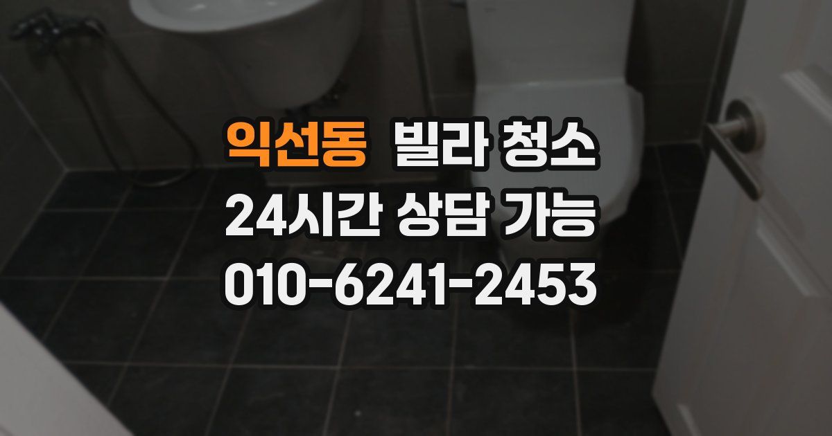 익선동 빌라 청소