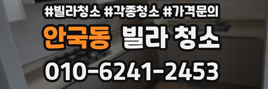 안국동 빌라 청소