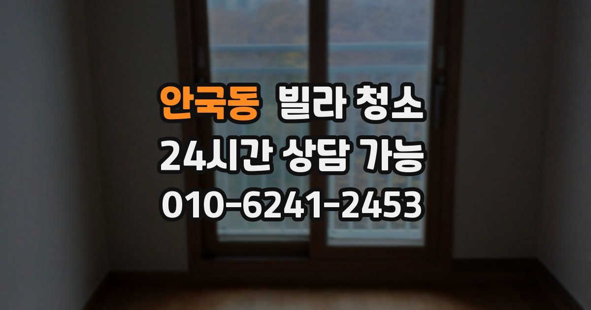 안국동 빌라 청소