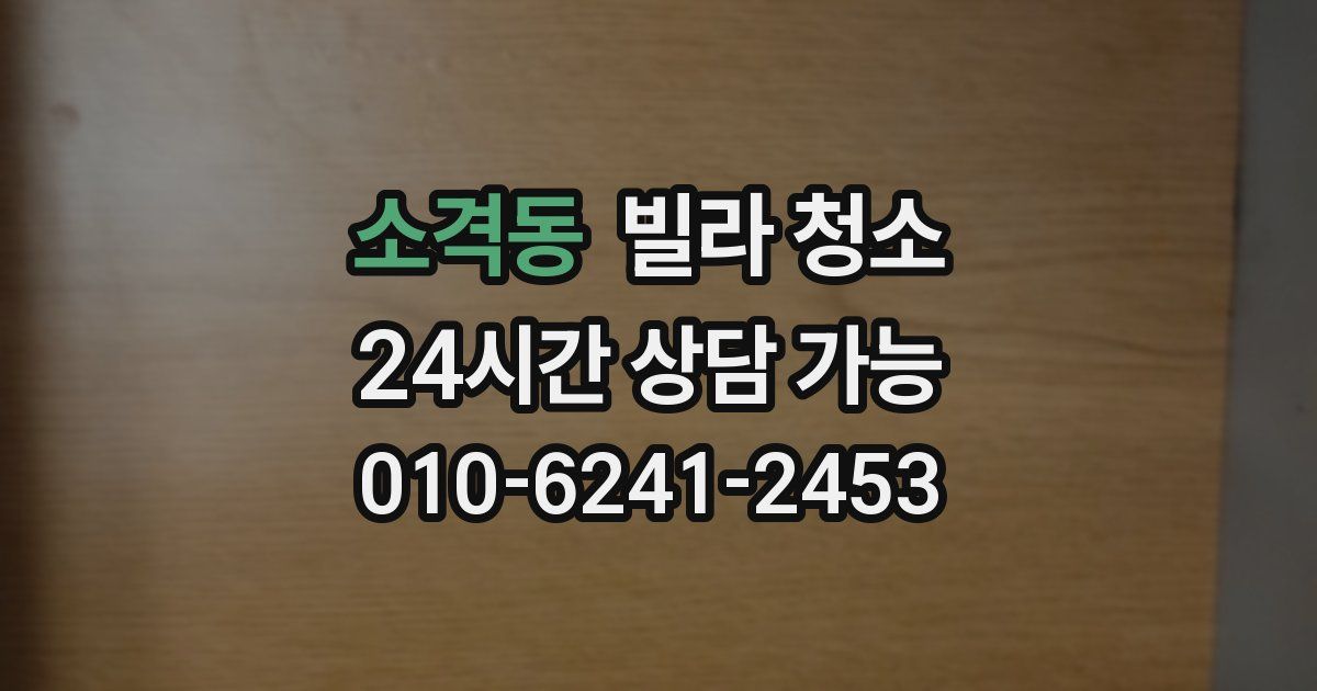 소격동 빌라 청소