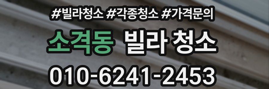 소격동 빌라 청소