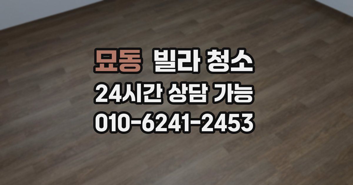 묘동 빌라 청소
