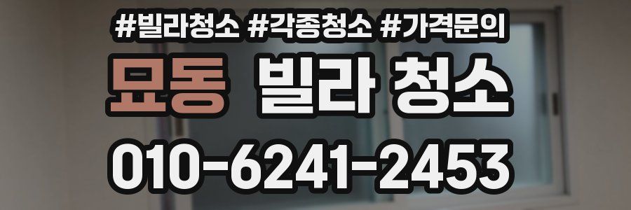 묘동 빌라 청소