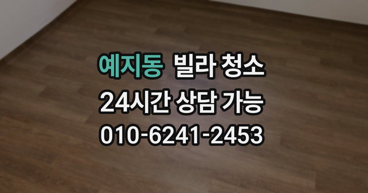 예지동 빌라 청소