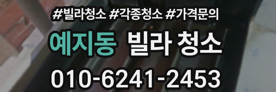 예지동 빌라 청소