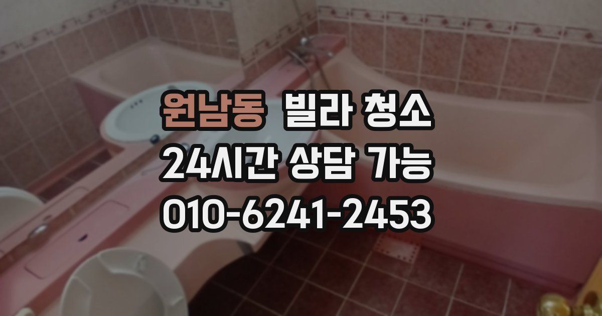 원남동 빌라 청소