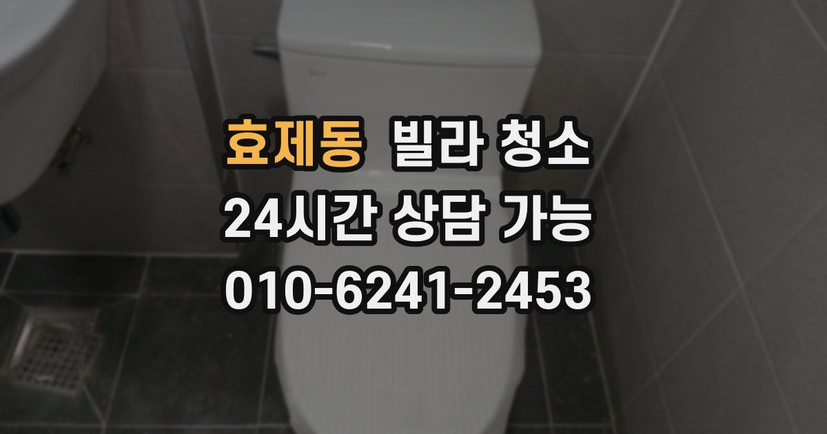효제동 빌라 청소