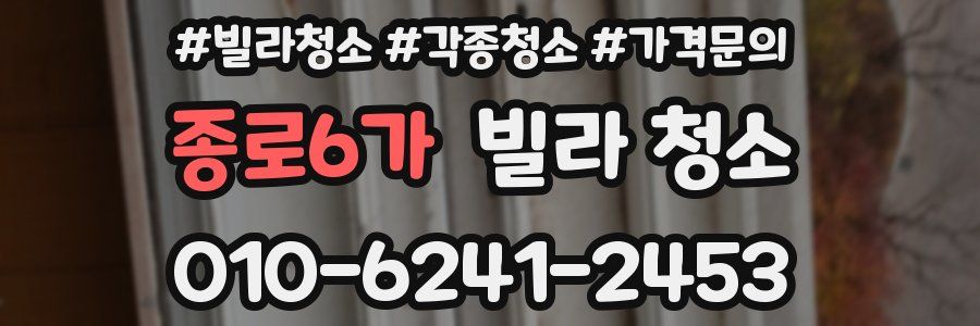 종로6가 빌라 청소