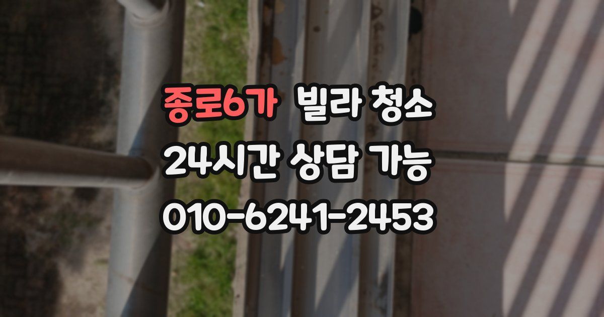 종로6가 빌라 청소