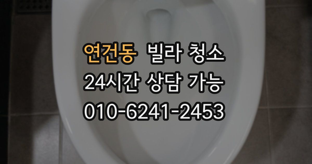 연건동 빌라 청소