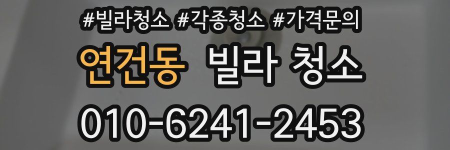 연건동 빌라 청소