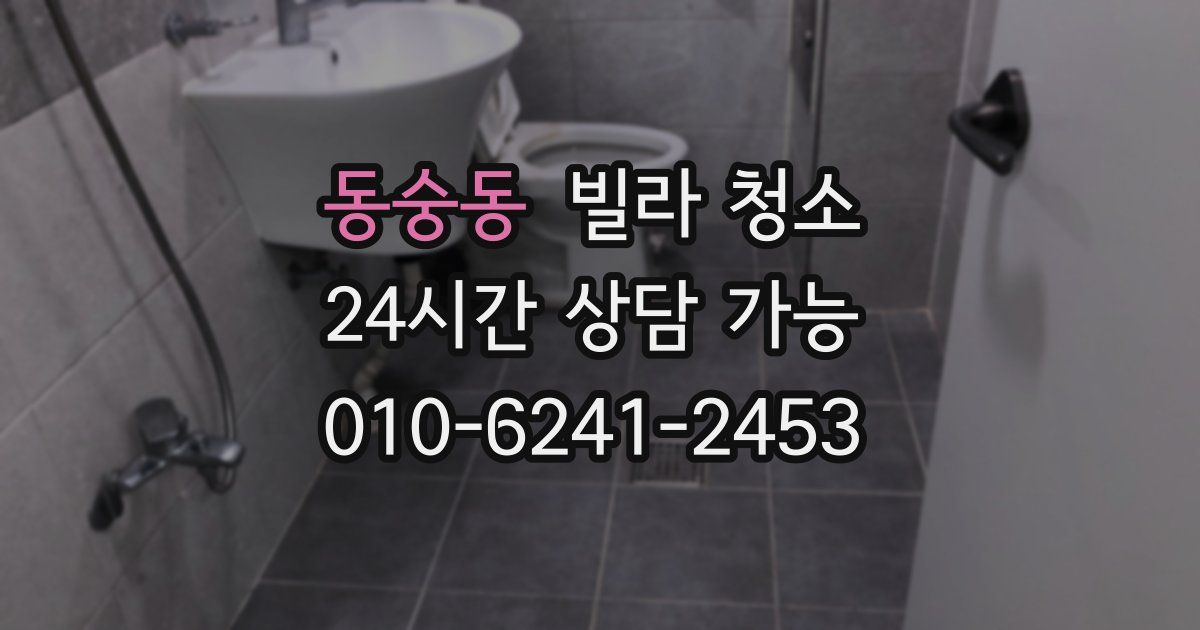 동숭동 빌라 청소