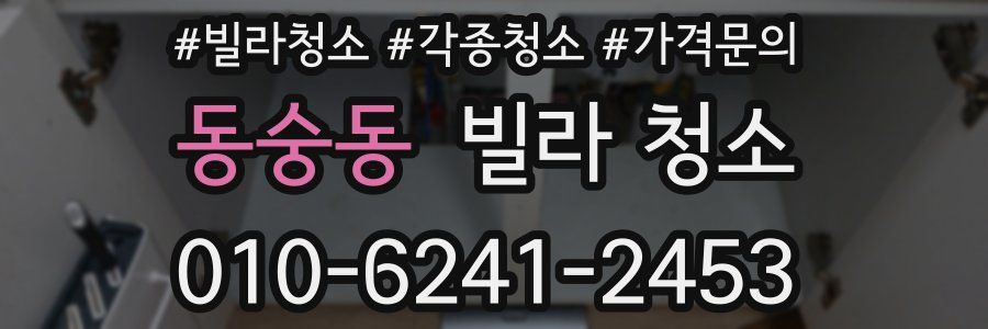 동숭동 빌라 청소