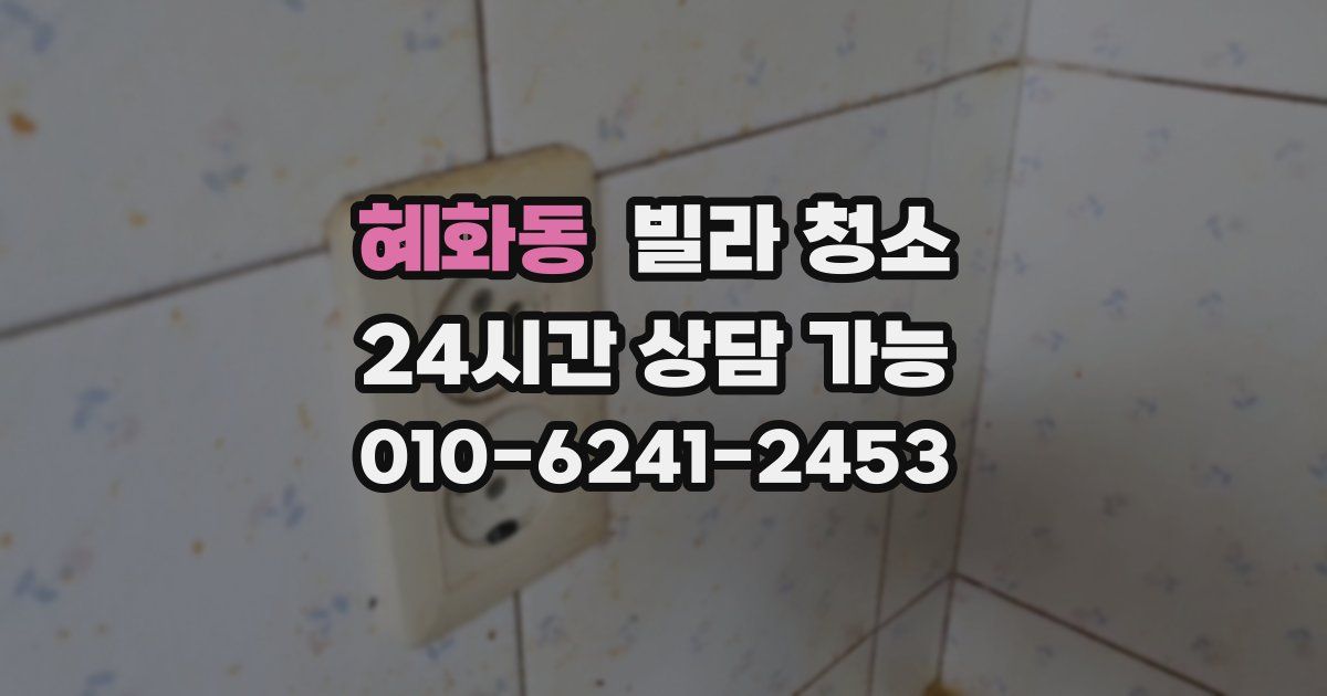 혜화동 빌라 청소