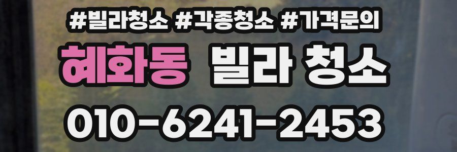 혜화동 빌라 청소