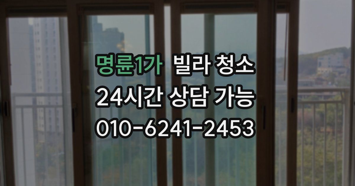 명륜1가 빌라 청소