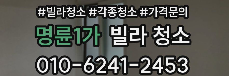 명륜1가 빌라 청소