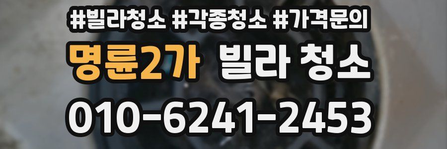 명륜2가 빌라 청소