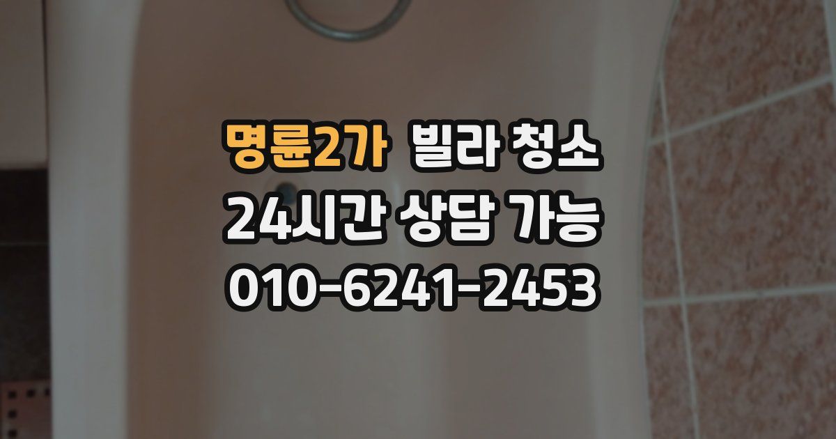 명륜2가 빌라 청소