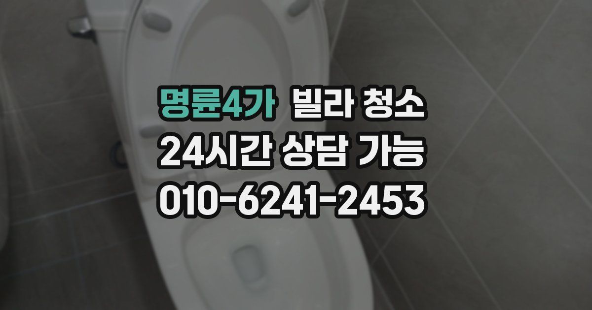 명륜4가 빌라 청소