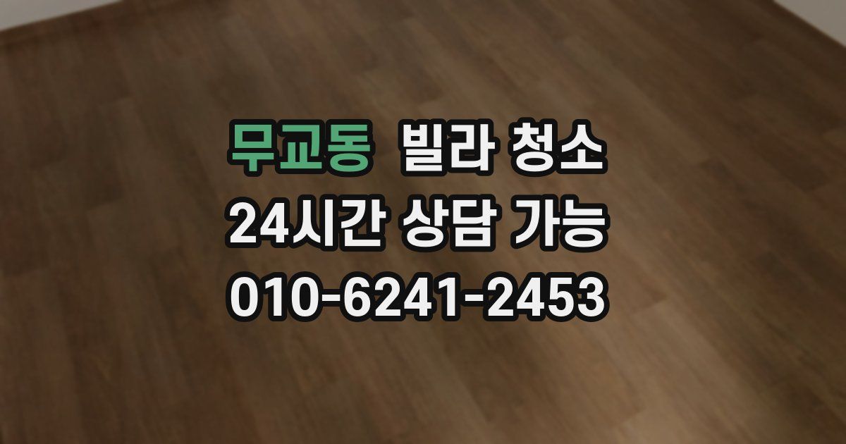 무교동 빌라 청소