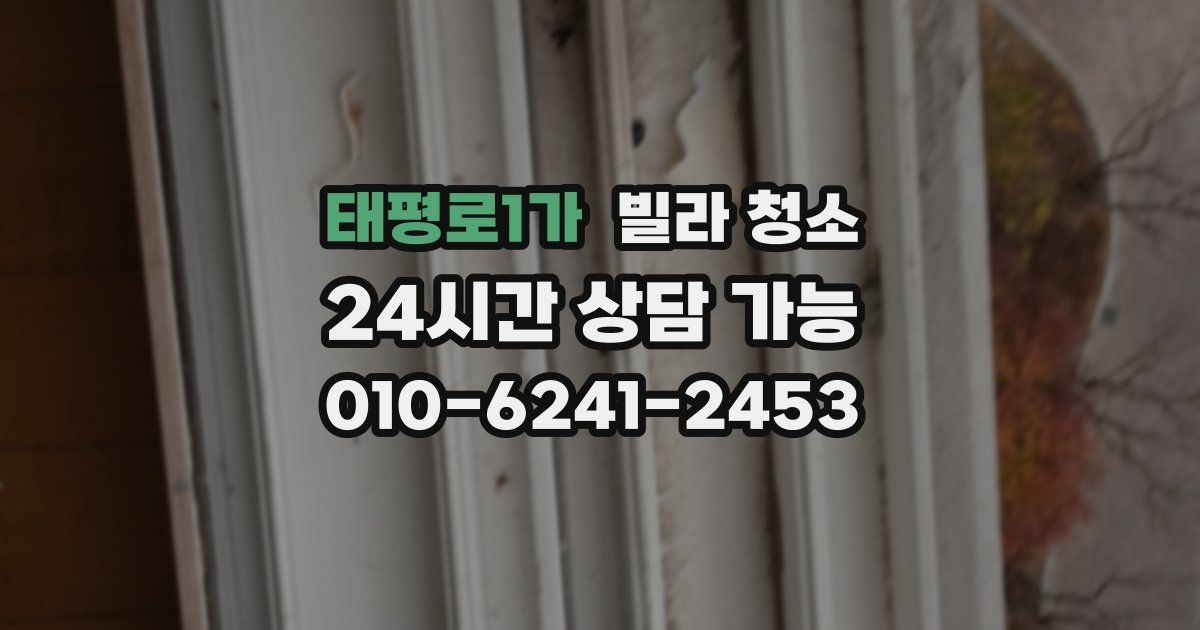 태평로1가 빌라 청소