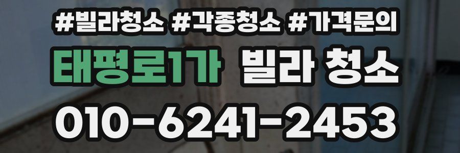 태평로1가 빌라 청소