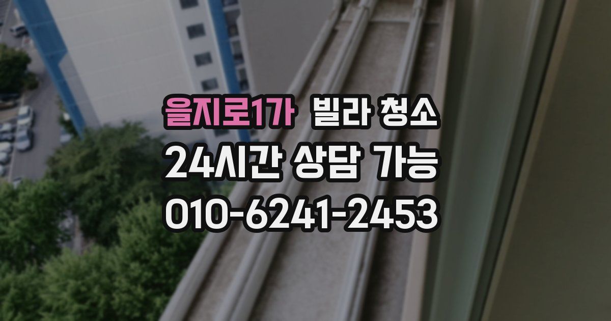 을지로1가 빌라 청소