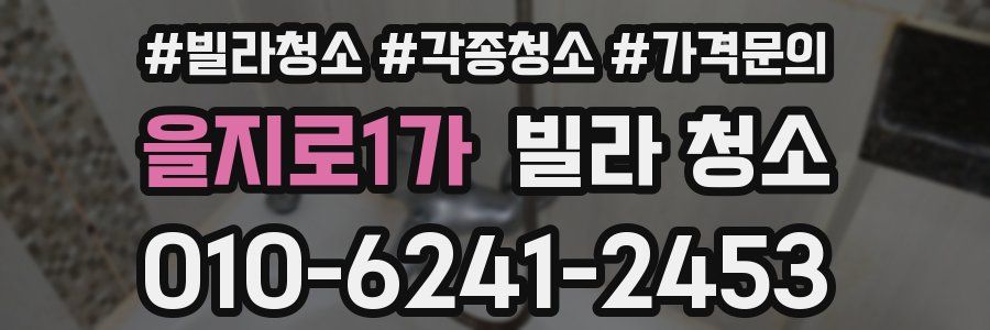 을지로1가 빌라 청소