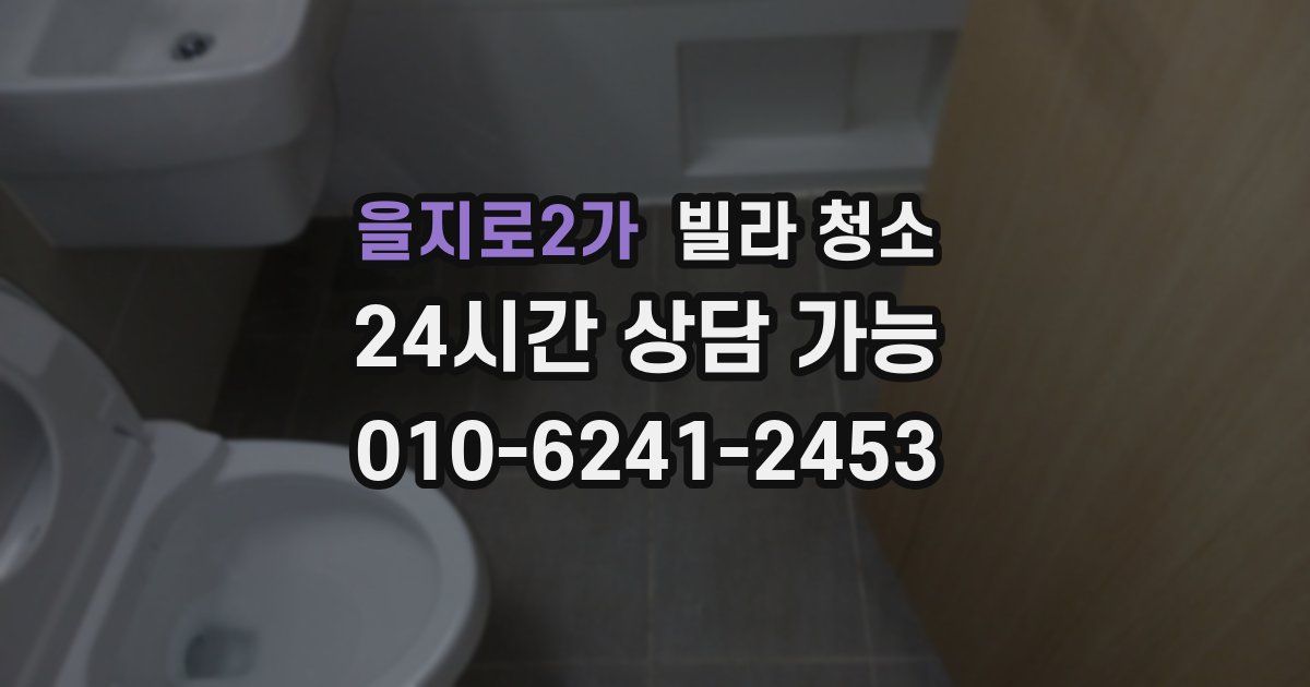을지로2가 빌라 청소