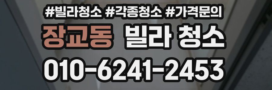 장교동 빌라 청소