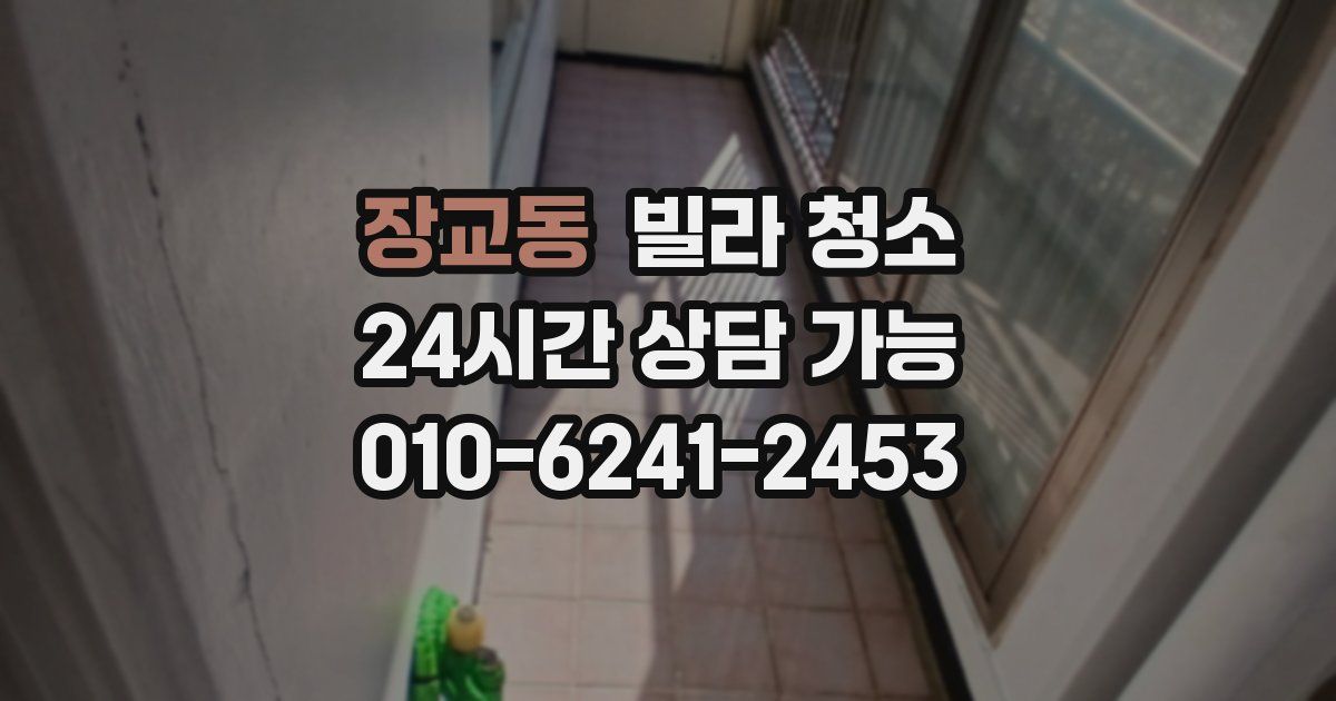 장교동 빌라 청소