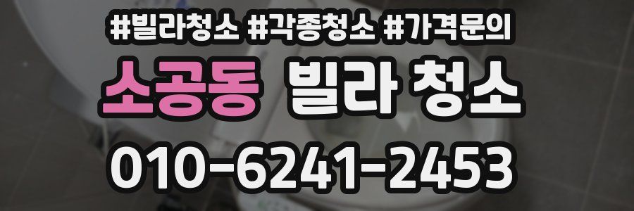 소공동 빌라 청소