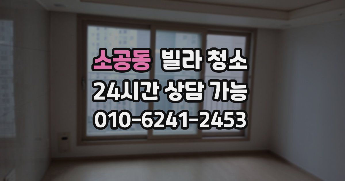 소공동 빌라 청소