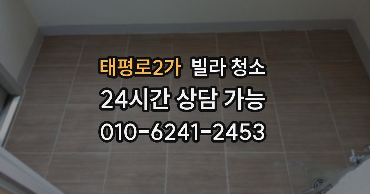 태평로2가 빌라 청소