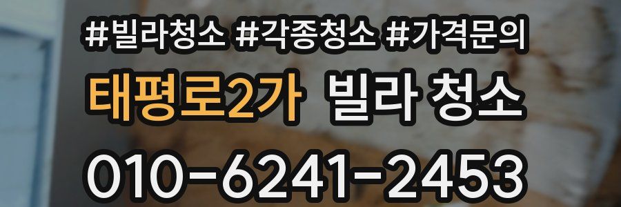 태평로2가 빌라 청소