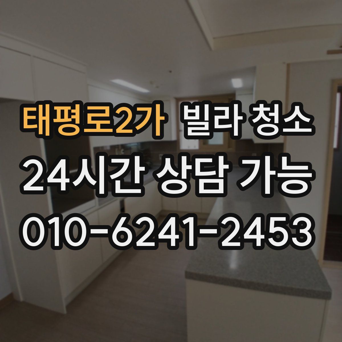 태평로2가 빌라 청소