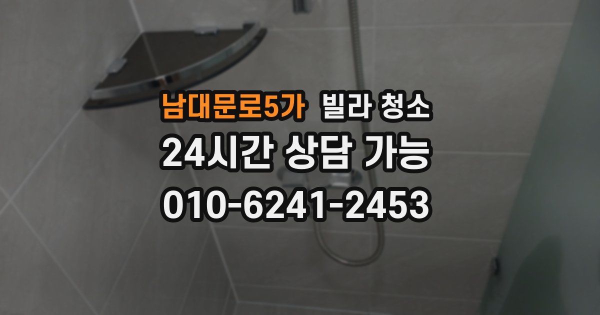 남대문로5가 빌라 청소