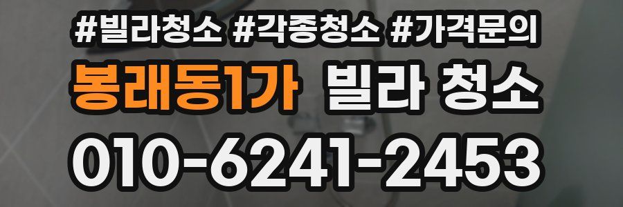 봉래동1가 빌라 청소