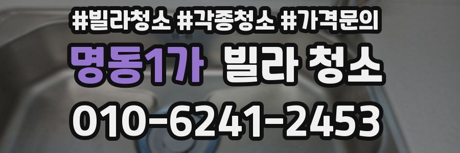 명동1가 빌라 청소