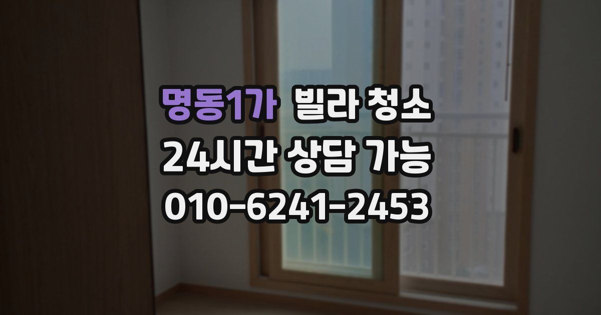 명동1가 빌라 청소