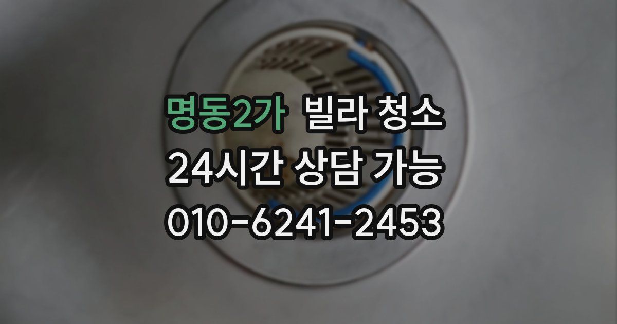명동2가 빌라 청소