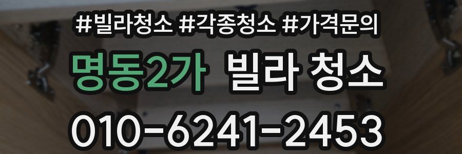 명동2가 빌라 청소